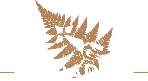 Ar Raden -  Aménagement paysagère